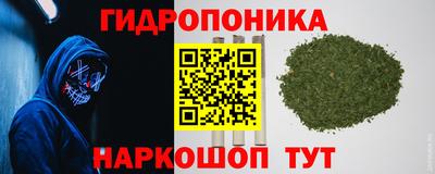 ECSTASY Можга
