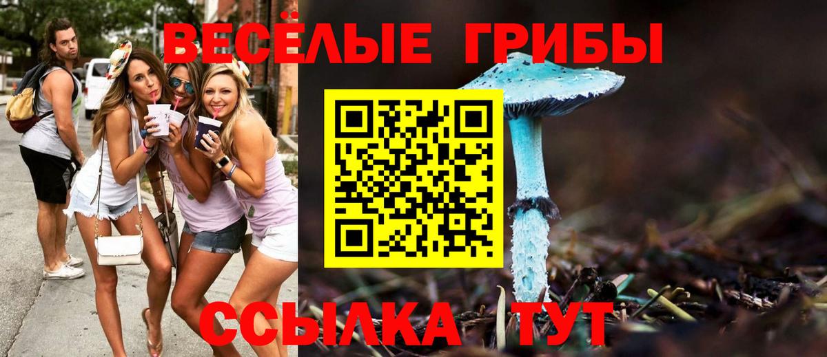 Псилоцибиновые грибы мицелий  Галлюциногенные грибы Psilocybine cubensis  Вход с VPN  Волгоград 